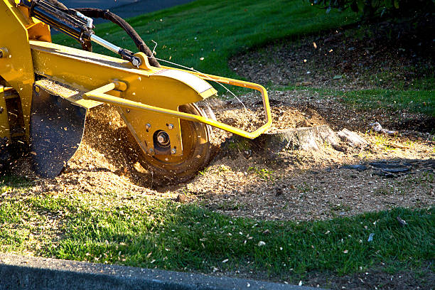 Lawn Irrigation Installation and Maintenance in Bradley Gardens, NJ